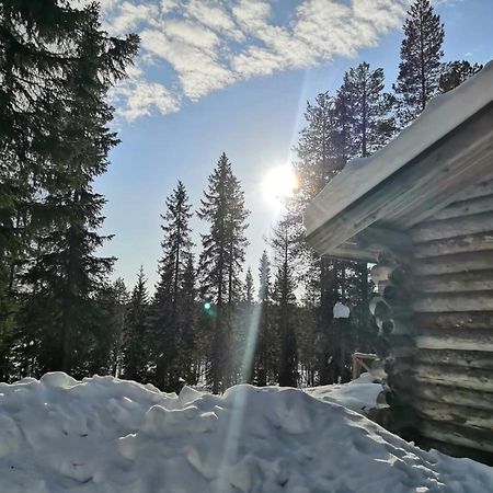 Mantytupa Lodge Syöte Dış mekan fotoğraf