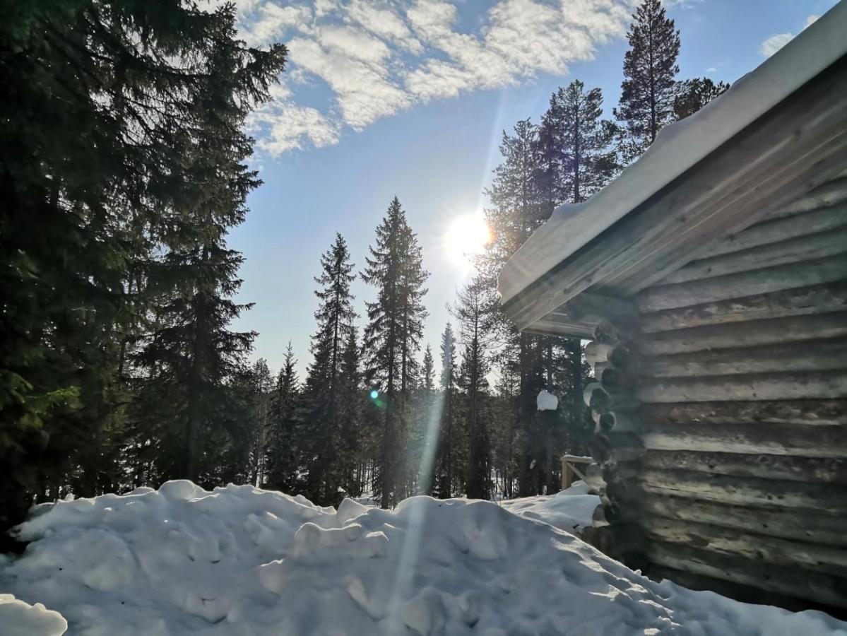 Mantytupa Lodge Syöte Dış mekan fotoğraf